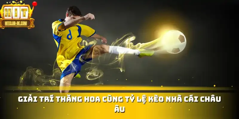 Giải trí thăng hoa cùng tỷ lệ kèo nhà cái châu Âu