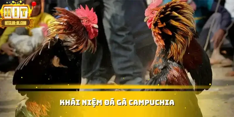Khái niệm về đá gà Campuchia