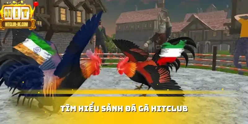 Tìm hiểu sảnh Đá gà HITCLUB